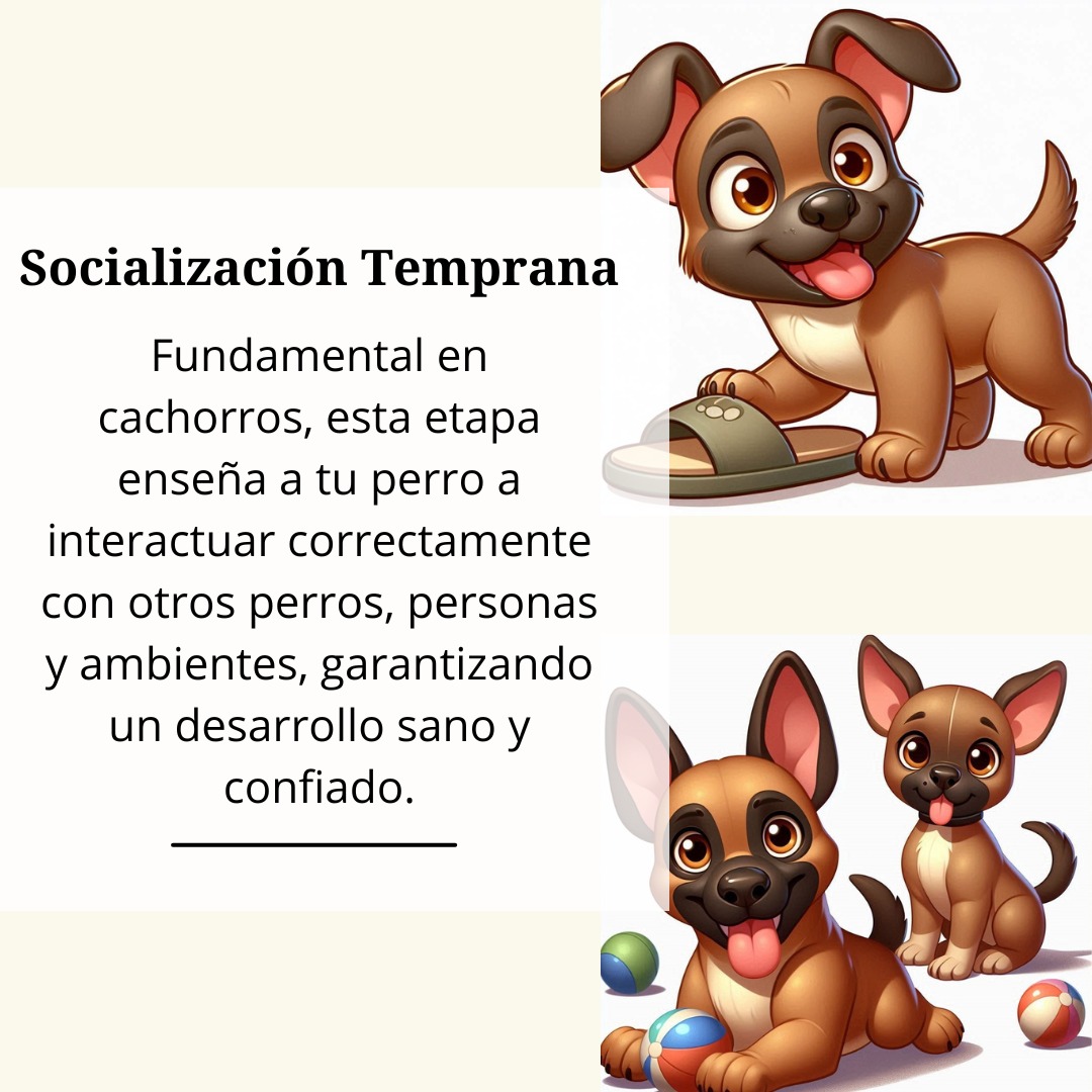 Socialización Temprana